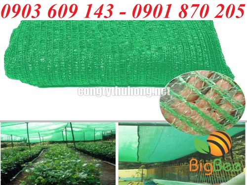 Loại lưới màu xanh với độ che phủ ánh nắng 50%