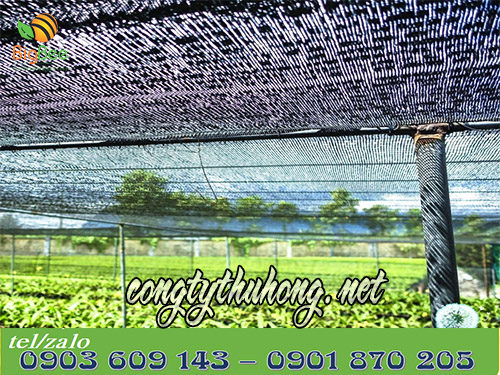 Lưới che nắng trồng rau, trồng lan