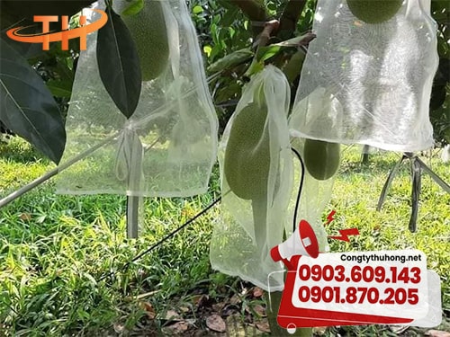 Lưới cước bọc mít Lưới cước bọc mít giá rẻ