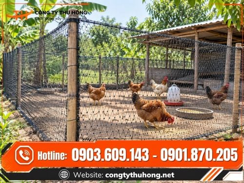 Lưới cước đen rào gà vịt Lưới cước đen rào gà vịt giá sỉ giao toàn quốc