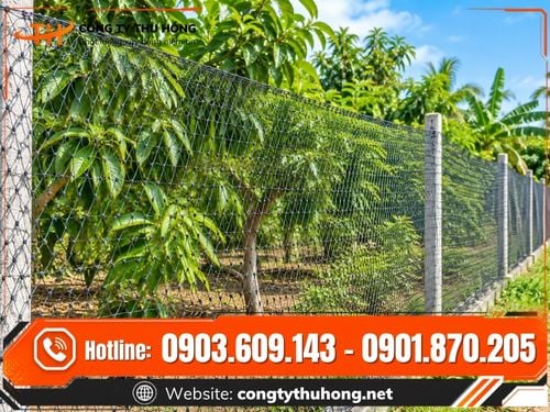 Lưới cước đen rào gà vịt Lưới cước đen rào gà vịt giao toàn quốc