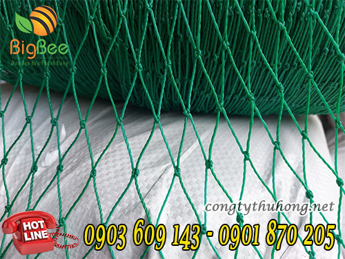 Lưới cước xanh ô lỗ lớn