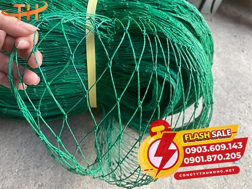 Thông thoáng cho gà vịt Lưới cước rào gà vịt tại xưởng
