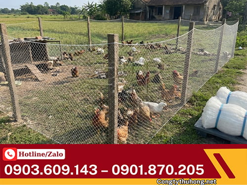 Lưới cước rào vật nuôi Lưới cước rào vật nuôi