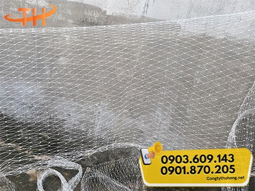 Lưới cước trắng Lưới cước trắng
