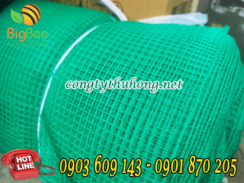Lưới cước xanh rào gà ô vuông