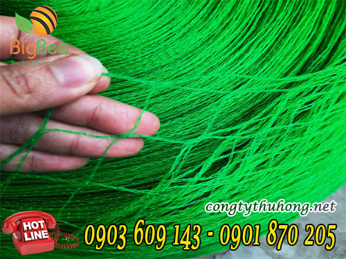 Lưới cước xanh ô lưới vừa
