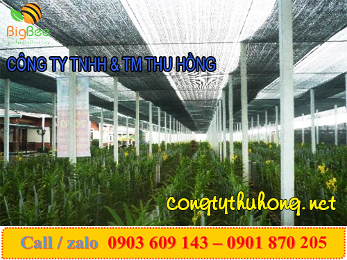 Lưới Đài Loan được dùng che vườn la