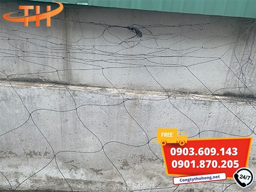 Lưới leo giàn Lưới leo giàn