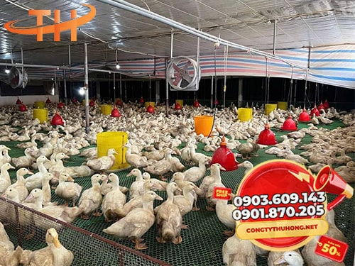 Lưới nhựa mắt cáo Lưới mắt cáo giá bao nhiêu