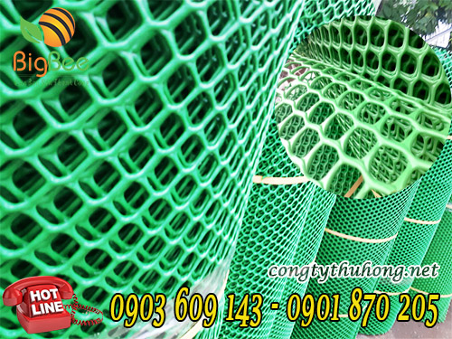 Lưới nhựa xanh ô mắt cáo rào gà