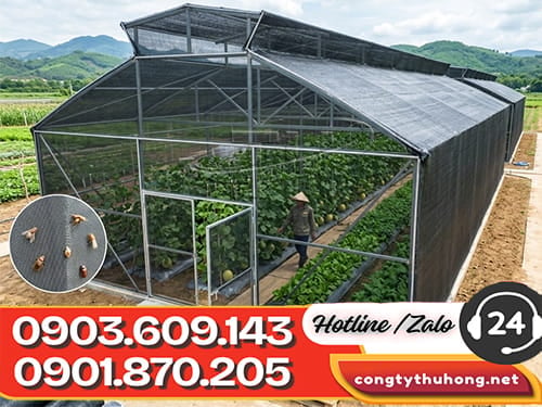 Lưới mùng che chắn côn trùng Lưới mùng che chắn côn trùng