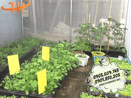 Lưới mùng chắn côn trùng trắng Lưới mùng côn trùng giá rẻ