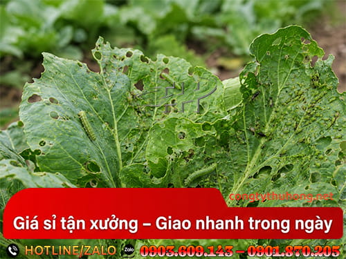 Lưới mùng đen Lưới mùng đen cho nhà vườn