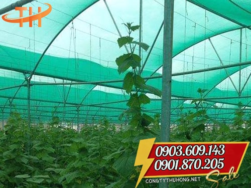 Lưới mùng nông nghiệp chắn côn trùng Lưới mùng nông nghiệp giá rẻ