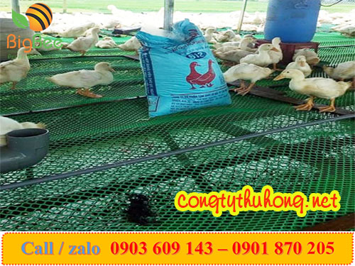 lưới nhựa cứng lót sàn