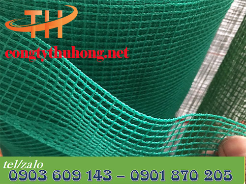 Lưới nhựa cứng ô vuông xanh đậm