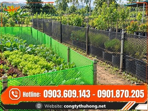 Lưới nhựa mắt cáo xanh đen Lưới nhựa mắt cáo xanh đen nhiêu khổ giá sỉ