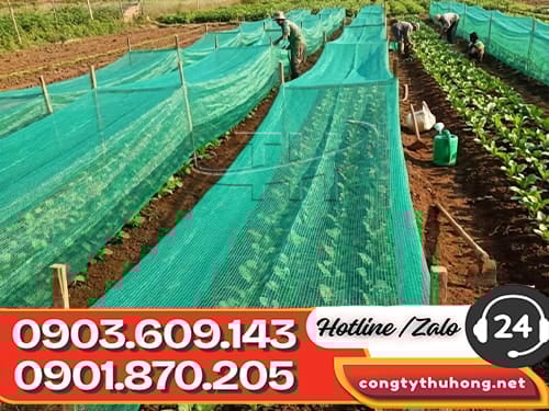 Lưới nhựa mắt vuông Lưới nhựa mắt vuông bền chắc