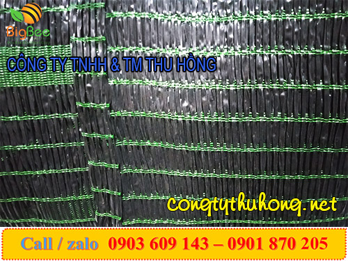 Sợi lưới dài với độ che phủ 80%