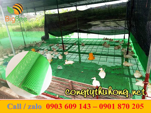 Lưới nhựa cứng được sử dụng làm chuồng nuôi gà vịt