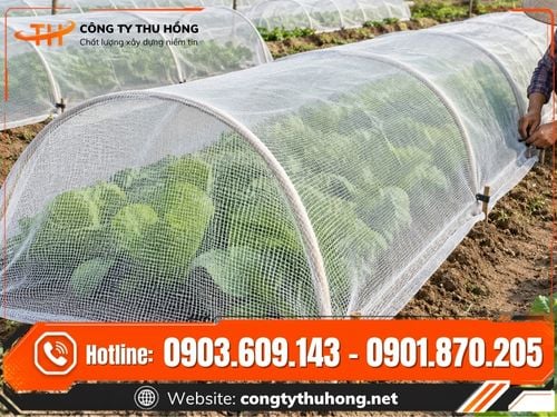 Lưới nông nghiệp màu trắng Lưới nông nghiệp màu trắng chắn côn trùng giá tốt