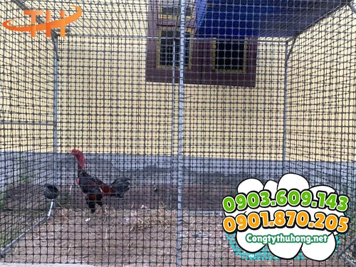 Lưới rào gà vịt Lưới rào gà vịt giá bao nhiêu