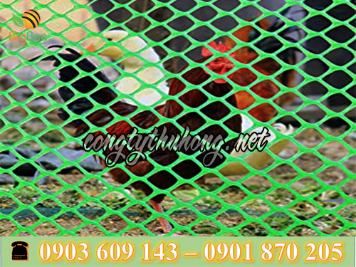 Sử dụng lưới nhựa cứng rào vườn, ngăn gà vịt