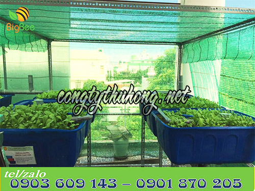 Lưới nhưạ xanh che nắng trồng rau