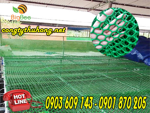 lưới mắt cáo nhựa giá rẻ