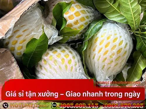 Lưới xốp bọc trái cây Lưới xốp bảo vệ trái cây