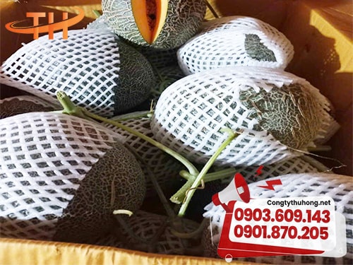 Lưới xốp bọc dưa lưới Lưới xốp bọc dưa lưới