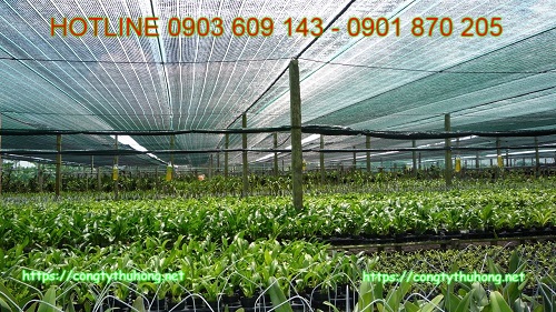 lưới nhựa làm giàn