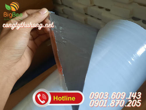 Màng bảo vệ trắng đen