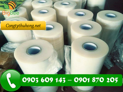 Màng bảo vệ bề mặt trong suốt