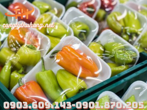 Màng bọc thực phẩm King Wrap