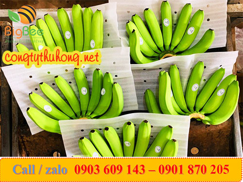 cuộn xốp pe foam