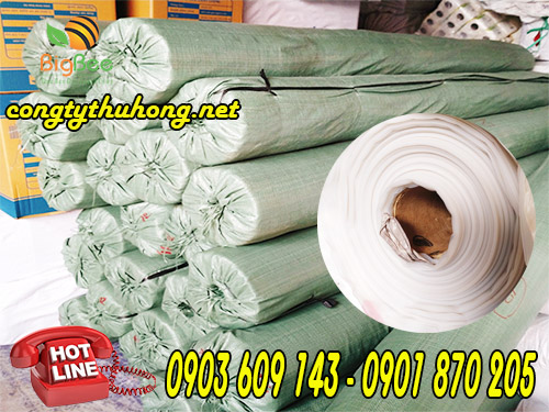 Cuộn ni lông lót sàn bê tông