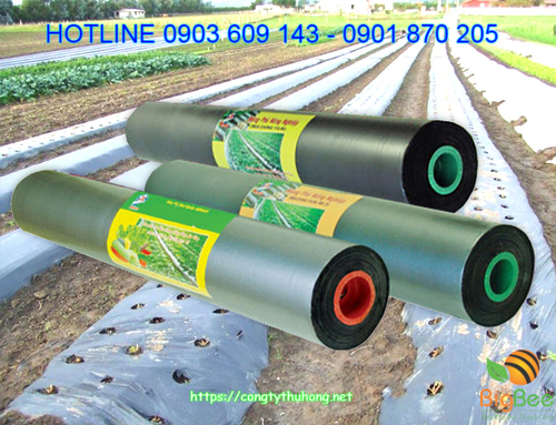 cuộn màng phủ nông nghiệp