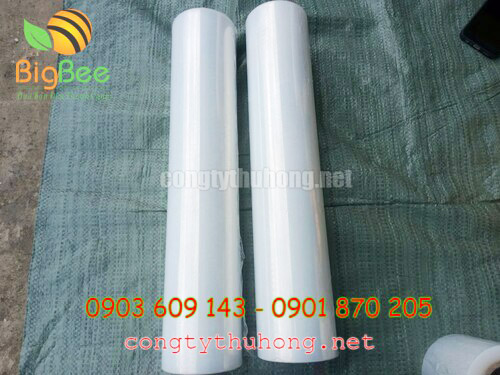 Màng PE trong suốt khổ 50cm, độ dày 17mic