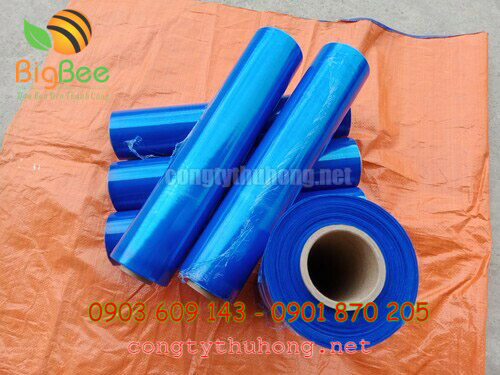 Cuộn màng PE quấn hàng màu xanh dương khổ 50cm