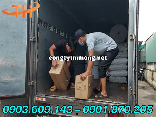 Màng pe các loại Màng pe các loại