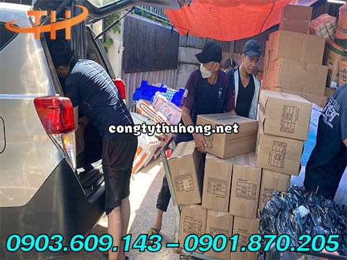 Màng pe giá rẻ 13