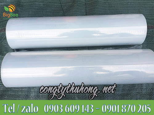 Cuộn màng pe trong suốt khổ 50cm