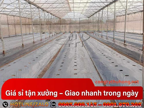 Màng phủ cây trồng Màng phủ cây trồng chống cỏ dại