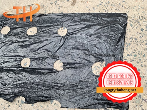 Màng phủ đục lỗ 400m Màng phủ đục lỗ 400m