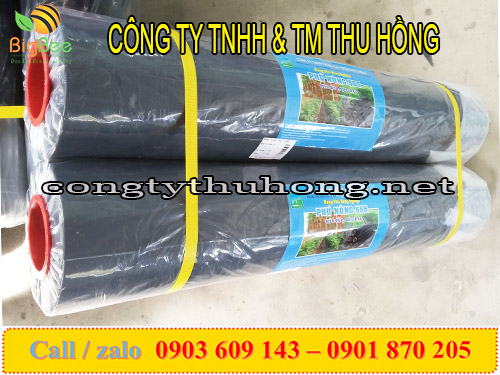 Cung cấp màng phủ nông nghiệp giá sỉ rẻ