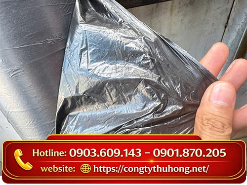 Màng phủ nông nghiệp Màng phủ nông nghiệp dày