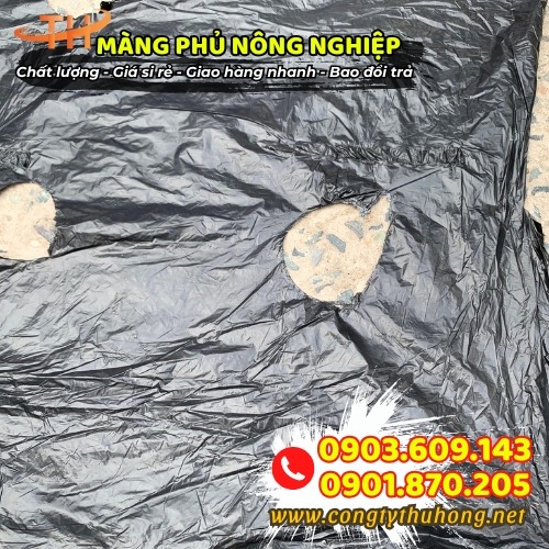 Màng phủ nông nghiệp đục lỗ giá rẻ