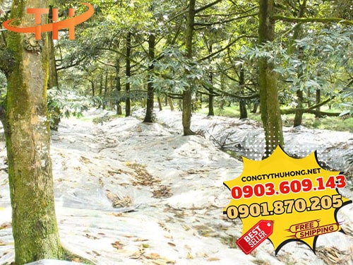 Màng phủ sầu riêng Màng phủ sầu riêng giá rẻ cho nhà vườn